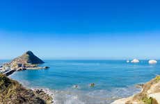 Paseo en lancha rápida por la bahía de Mazatlán + Entrada al Museo de la Ballena