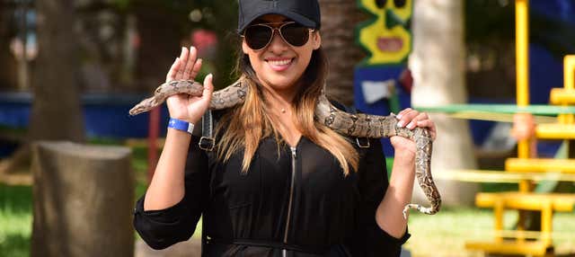 Tour por Mazatlán + Acuario