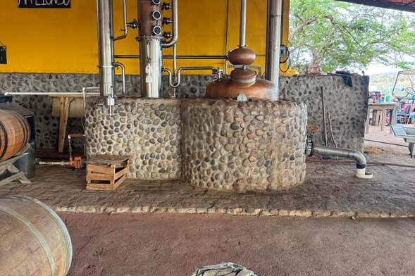 Visita ao Rancho Mr. Lionso + Degustação de mezcal