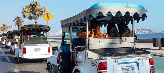Private Pulmonia Tour of Mazatlán