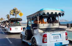 Tour panorámico en coche pulmonía