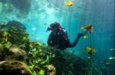 Bautismo de buceo en un cenote de Mérida