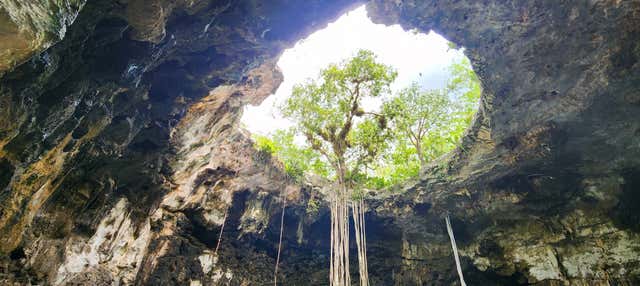 Escursione ai cenote di Homún