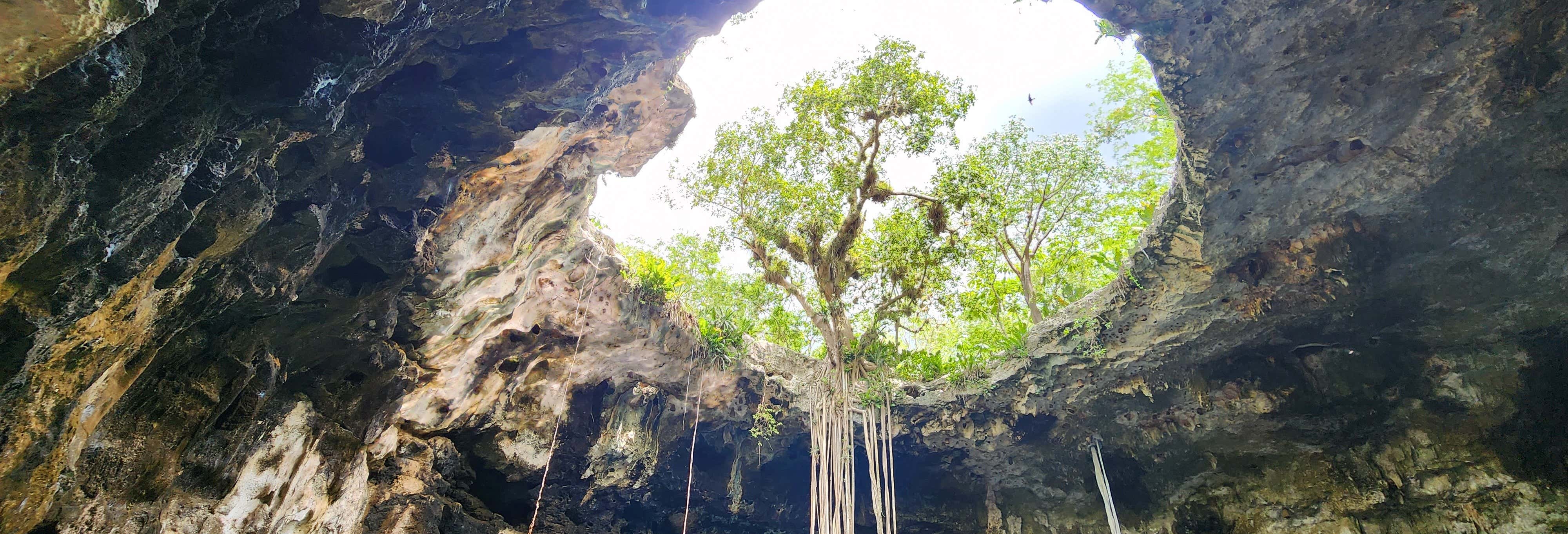 Excursiones de un día en Mérida