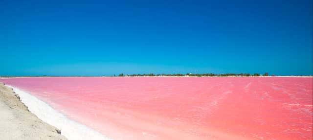 Excursión a Las Coloradas y Río Lagartos 