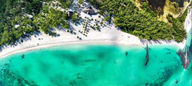 Excursión a Cozumel