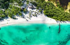 Excursion à Cozumel