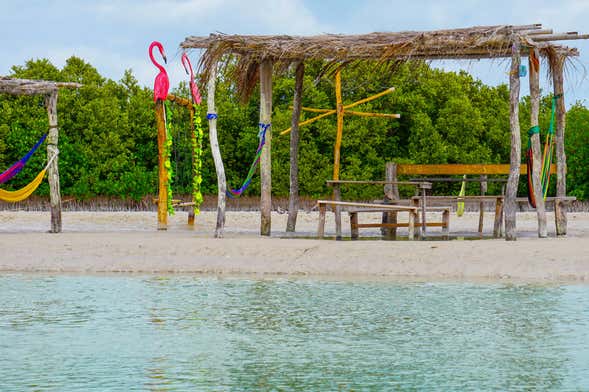 Excursión a la Isla Columpios