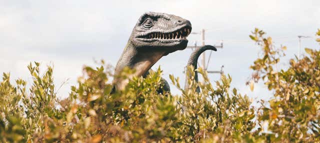 Meteorite Museum + Jurassic Trail Day Trip