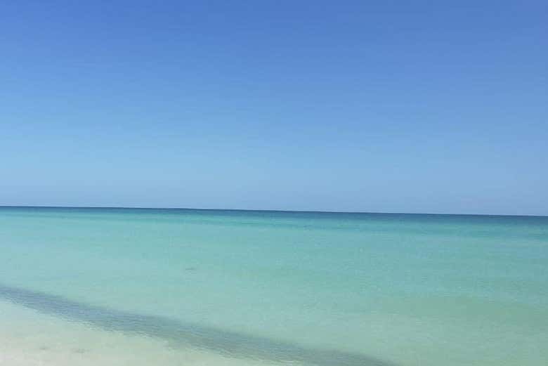 Aguas transparentes de Celestún