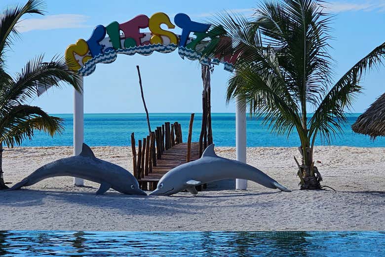 ¡Bienvenidos a Celestún!