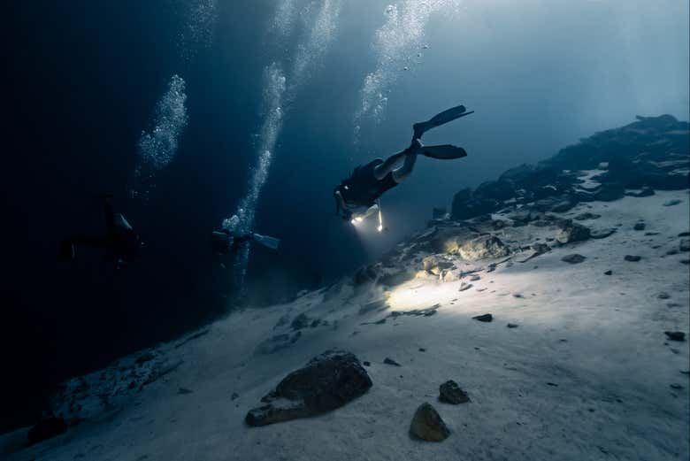 It will be a unique experience!