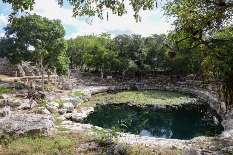 Cenote rodeado de vegetación en Dzibilchaltún