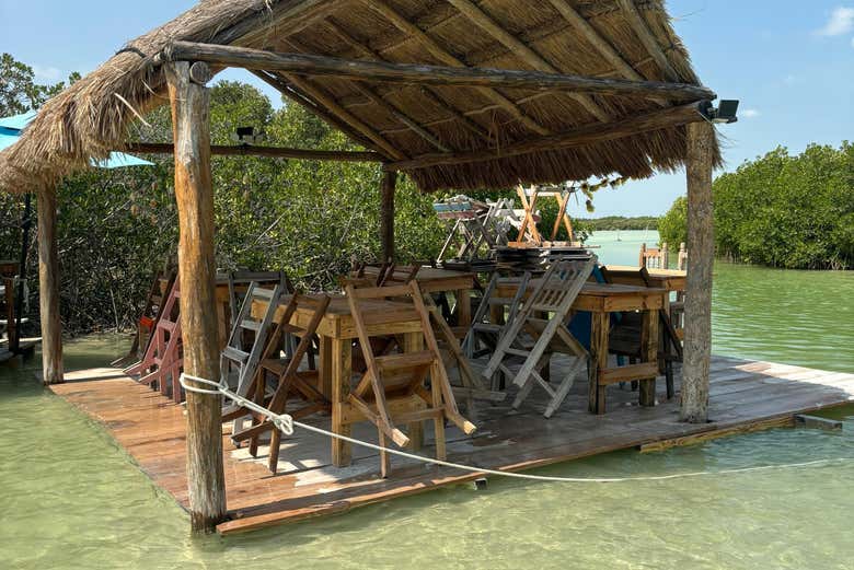 ¡Un chapuzón en un entorno único!