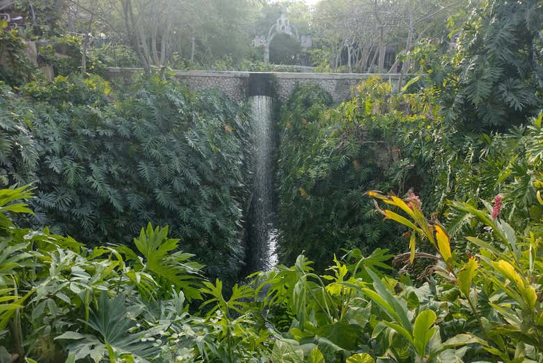 Descubriremos la historia y la belleza de esta antigua hacienda