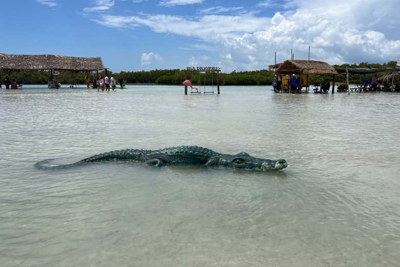 Descubriréis por qué esta isla es tan famosa