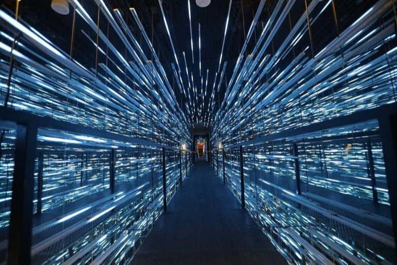 Interior do Museu do Meteorito