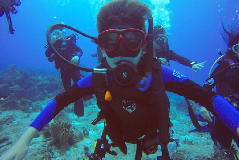 Una actividad para toda la familia