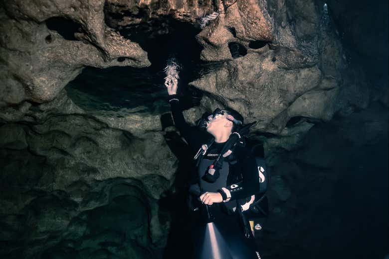 Cenote Diving in Mérida Book Online at