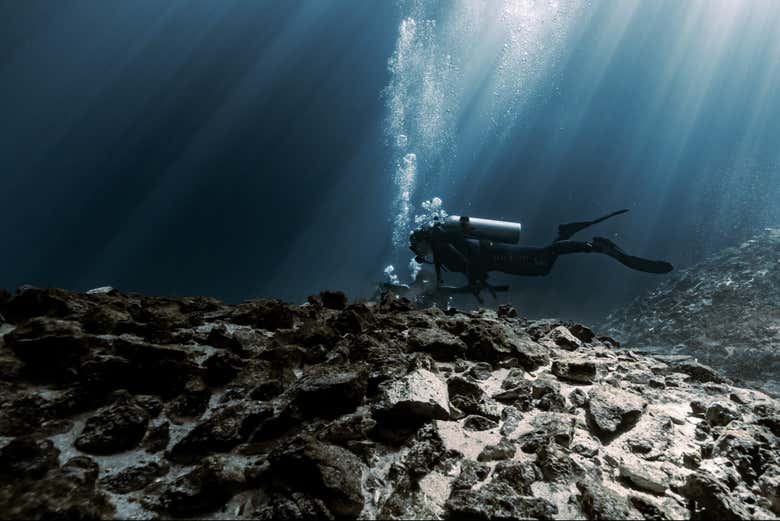 Put into practice what you learned!