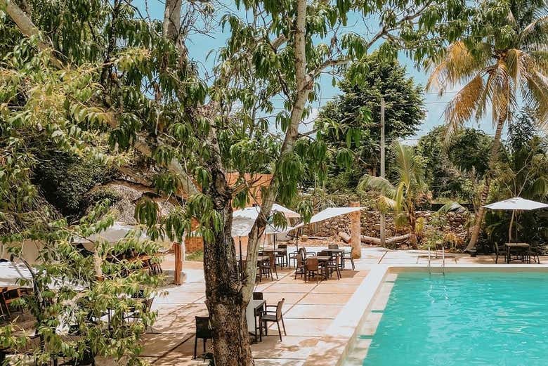 Piscina rodeada de vegetación 