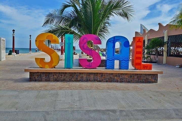 Sisal