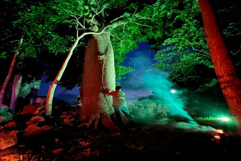 Conecta con la naturaleza y el misticismo de Acanceh