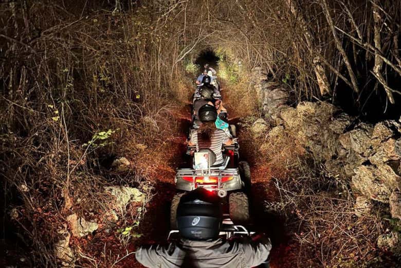 Tour the area at night