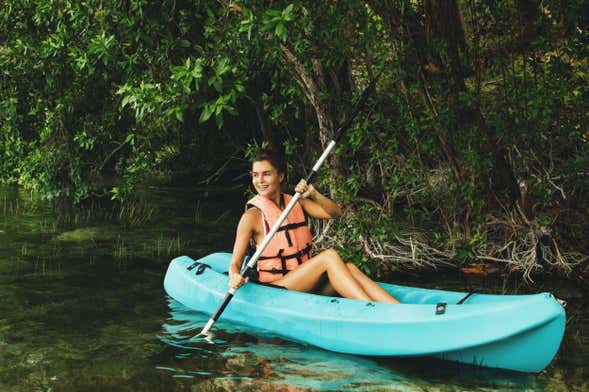 Kayak Tour of Sisal's Mangroves
