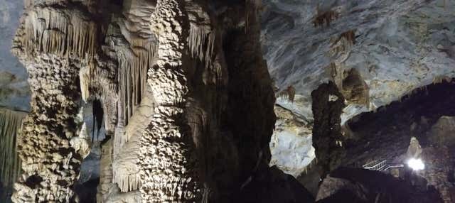 Excursão a Bustamante