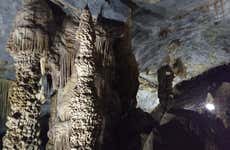 Bustamante Trip