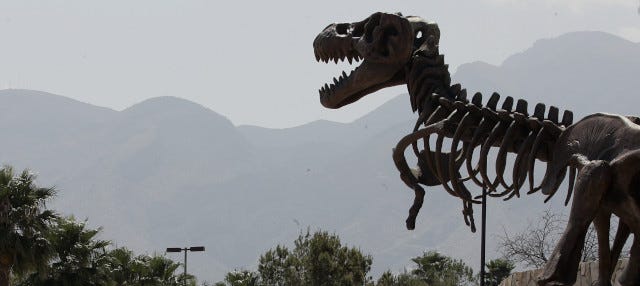 Excursión al Museo del Desierto desde Monterrey 