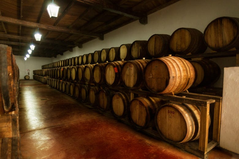 Barriles de vino en Casa Madero