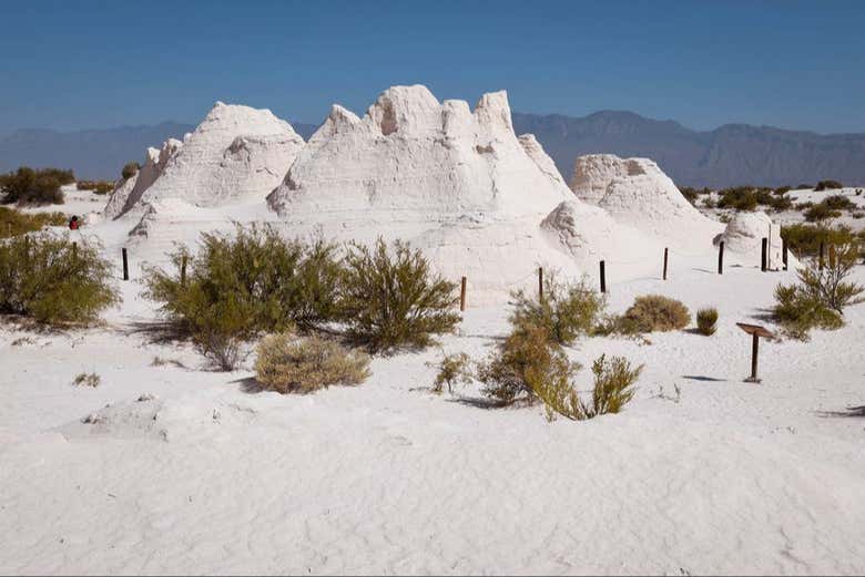 Dunas de Yeso en Cuatro Ciénegas