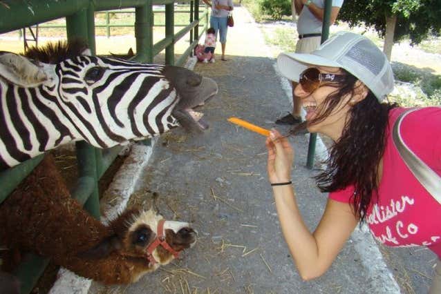 Você poderá alimentar os animais