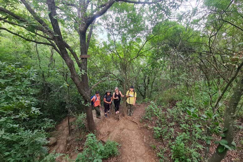 Explore a different side of Monterrey