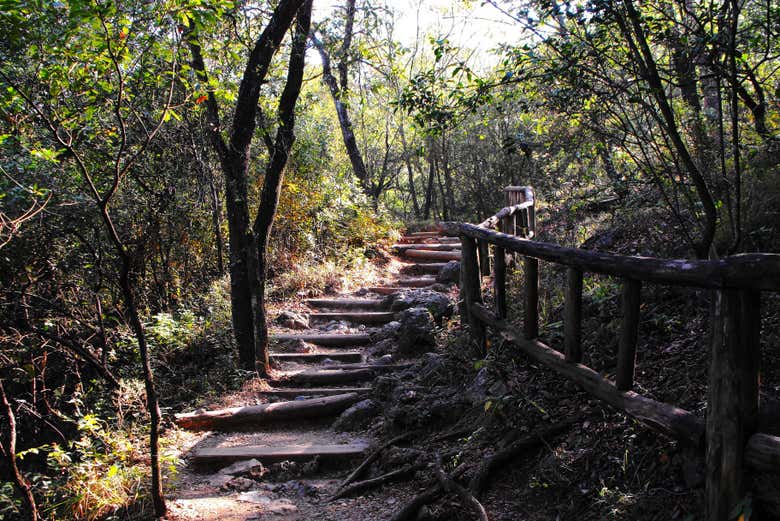 La naturaleza en todo su esplendor