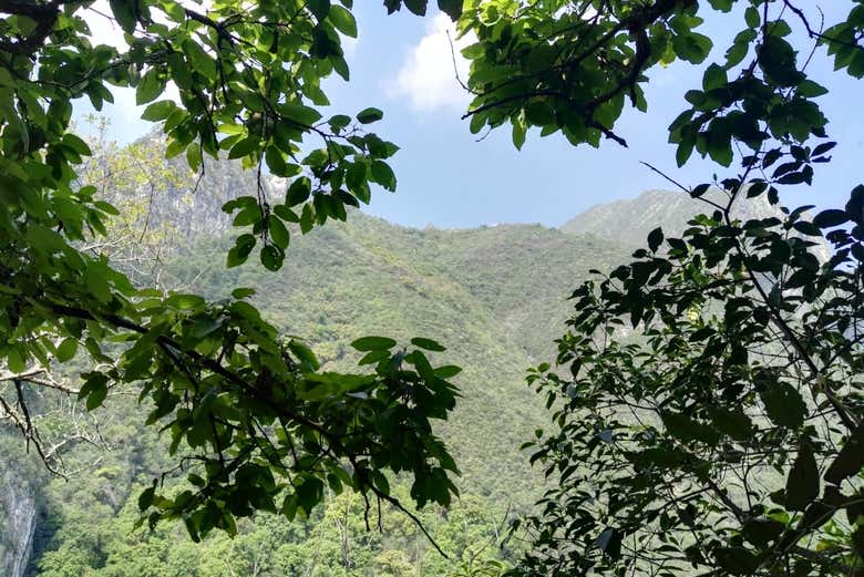 Le parc naturel La Estanzuela