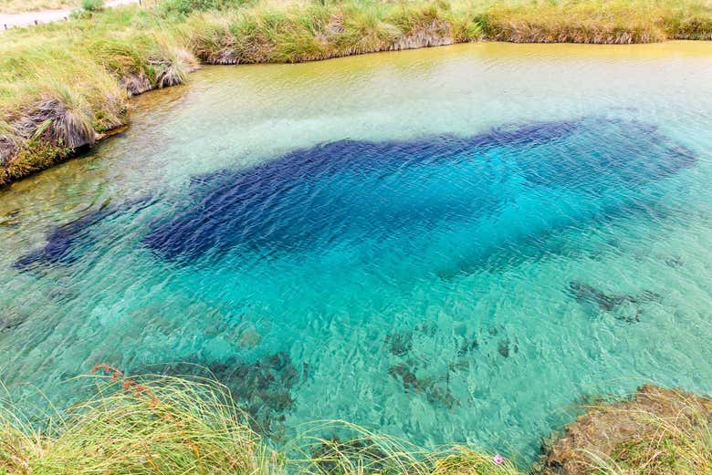Poza azul en Cuatro Ciénegas