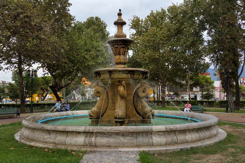 La fontana dei delfini in Plaza La Purísima