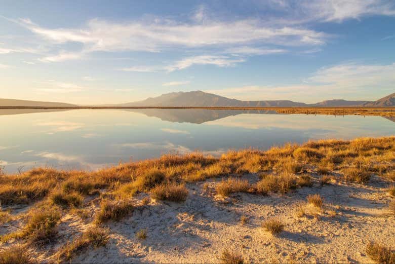 Panorámica de la zona protegida de Cuatro Ciénegas
