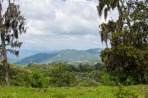 Trilha pelo Parque Natural La Estanzuela