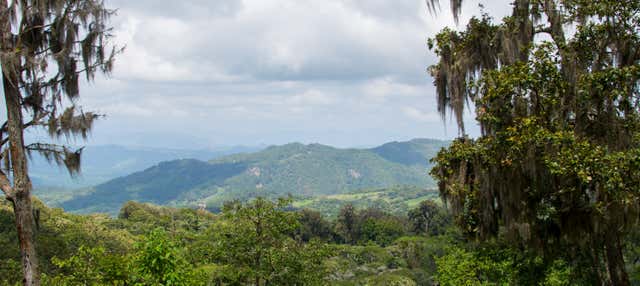Trilha pelo Parque Natural La Estanzuela