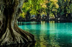 Excursión al santuario Guadalupano y lago de Camécuaro