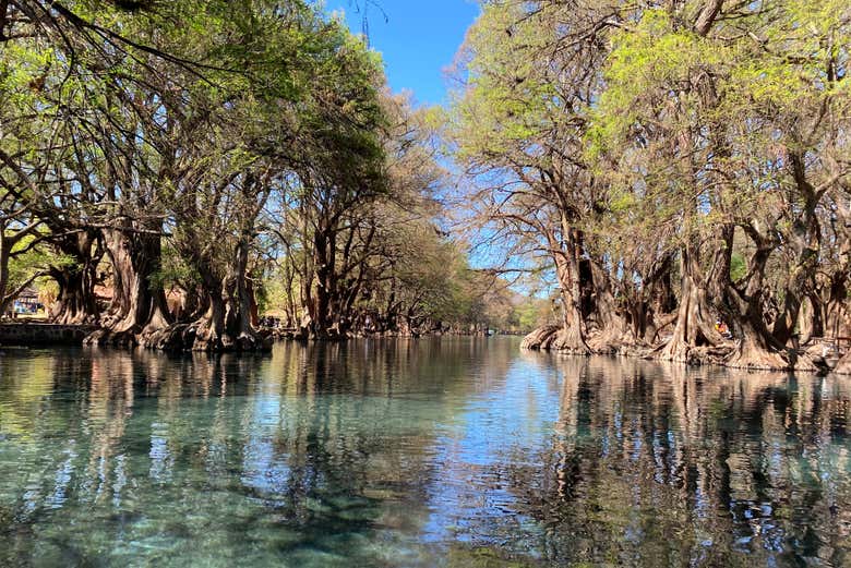 Aguas cristalinas de Camécuaro