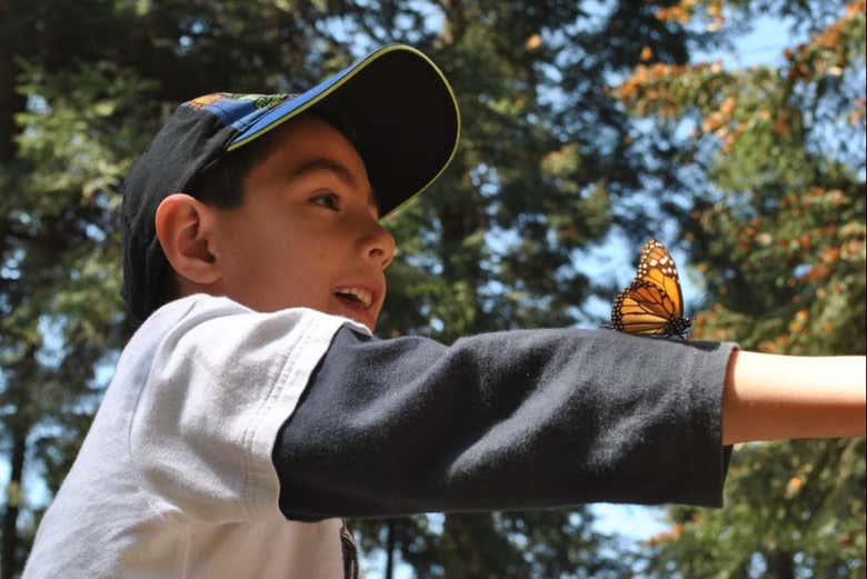 Disfrutando del entorno de las mariposas
