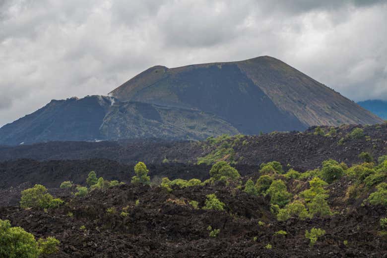 Parque Nacional Pico de Tancítaro