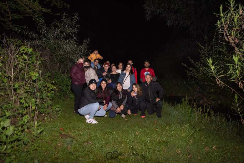 À la découverte des lucioles