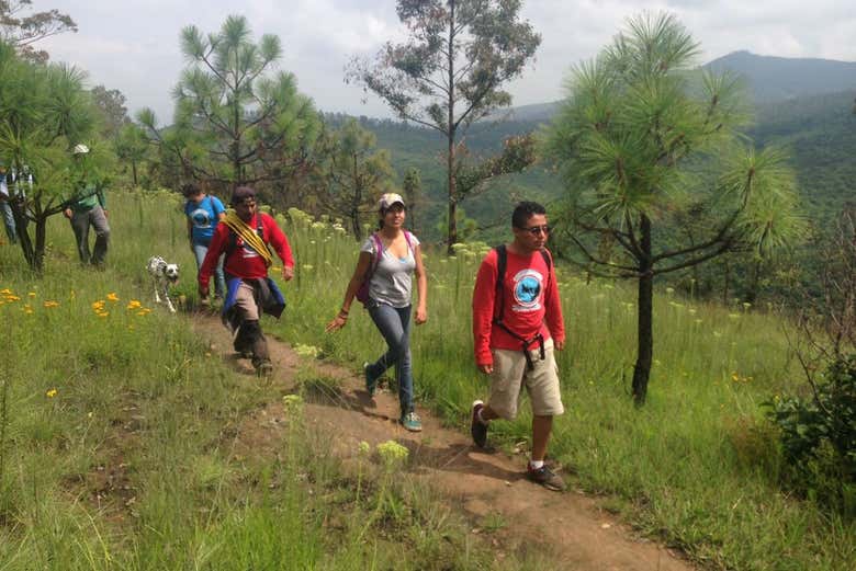 Durante la ruta senderista