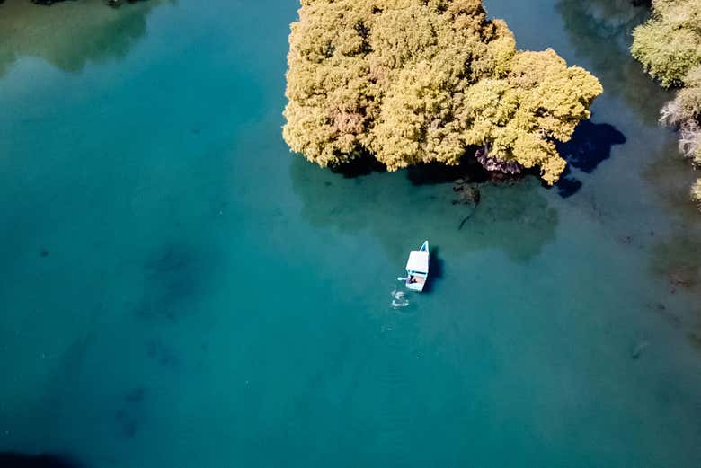 Vista aérea del lago de Camécuaro